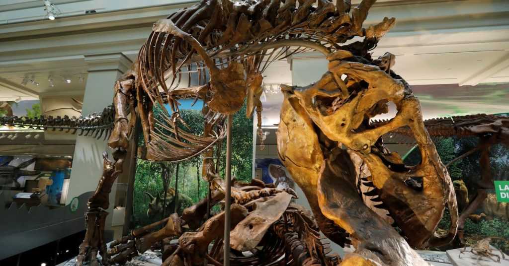 يقترح العلماء أن التيرانوصور كان يحتوي على ثلاثة أنواع وليس `` ريكس '' فقط
