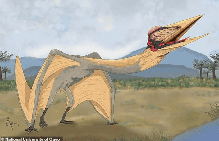 اكتشف علماء الأحافير في الأرجنتين حفريات لنوع جديد من التيروصورات يُدعى & quot؛ تنين الموت & quot؛