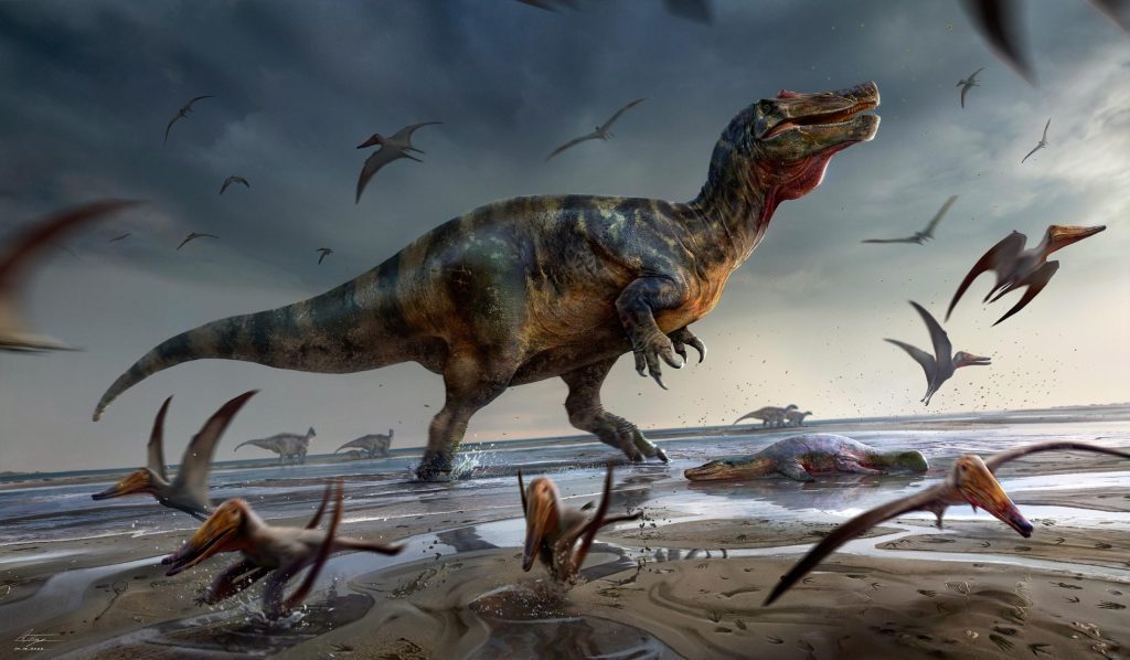 اكتشاف أكبر ديناصور مفترس في أوروبا في جزيرة وايت