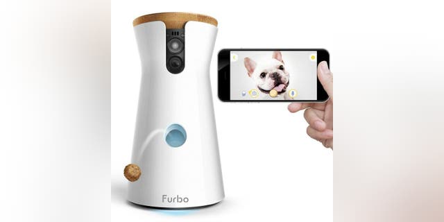 كاميرا فوربو الكلب.  تمنحك أحدث كاميرا للحيوانات الأليفة من Furbo مناظر بزاوية 360 درجة.  في هذا البودكاست ، حصلت على السبق الصحفي الداخلي حول سبع ميزات جديدة ومثيرة لنظام التشغيل iOS 16 واختراق التصوير الفوتوغرافي للقطات الحركة. 