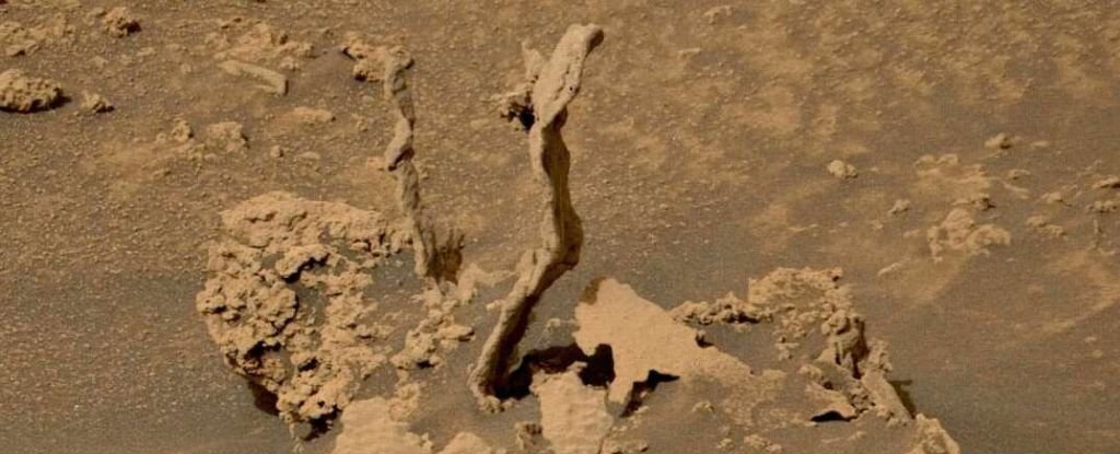 عثر الفضول على بعض أبراج الصخور الملتوية ذات المظهر الغريب حقًا على سطح المريخ