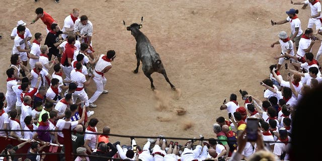 يدخل عجل الثور في حلبة مصارعة الثيران في نهاية سباق الثيران لمزيد من الترفيه في مهرجان سان فيرمين في بامبلونا ، إسبانيا ، يوم الاثنين ، 11 يوليو ، 2022.