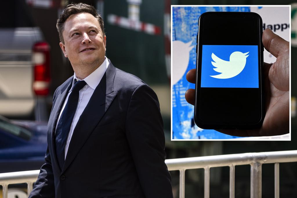 يقلب Elon Musk الطيور على Twitter ، ويرفع دعوى مضادة في معركة قانونية