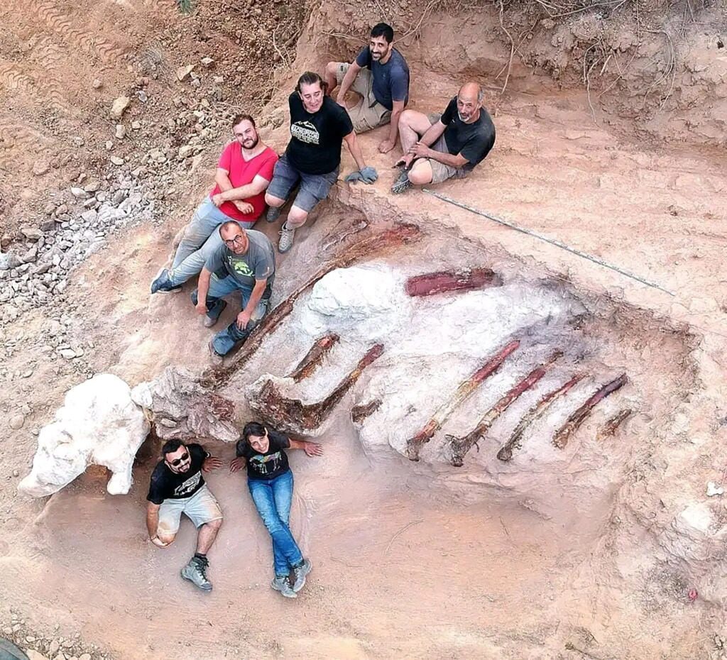 جمع علماء الحفريات في أغسطس ضلوعًا يبلغ طولها 10 أقدام.  