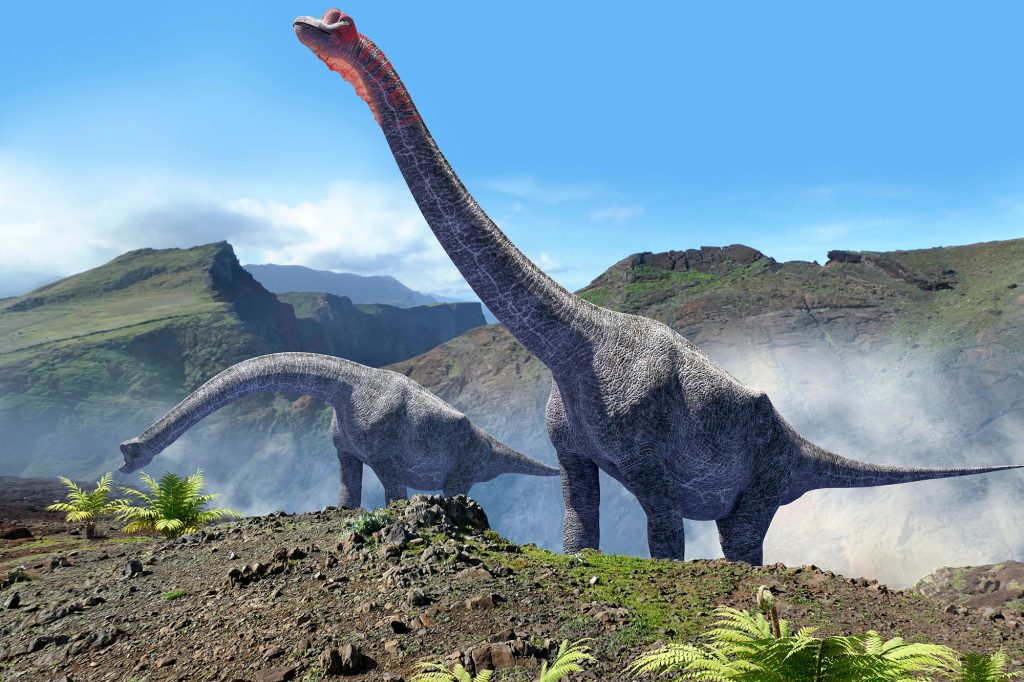 ربما كان الهيكل العظمي ينتمي إلى ديناصور سوروبود جاب أراضي البرتغال الحديثة بين 160-100 مليون سنة مضت. 