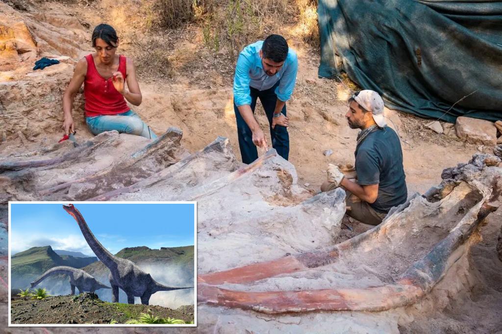 تم العثور على هيكل عظمي ديناصور يبلغ طوله 82 قدمًا في الفناء الخلفي لرجل في البرتغال