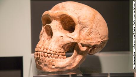 كيف يؤثر DNA Neanderthal على صحة الإنسان - بما في ذلك خطر الإصابة بـ Covid-19