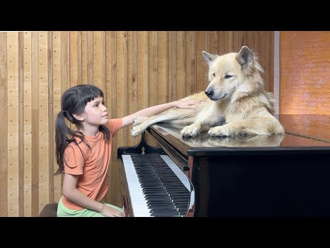 فيديو "نهر القمر" على البيانو من أجل Sharky the Dog